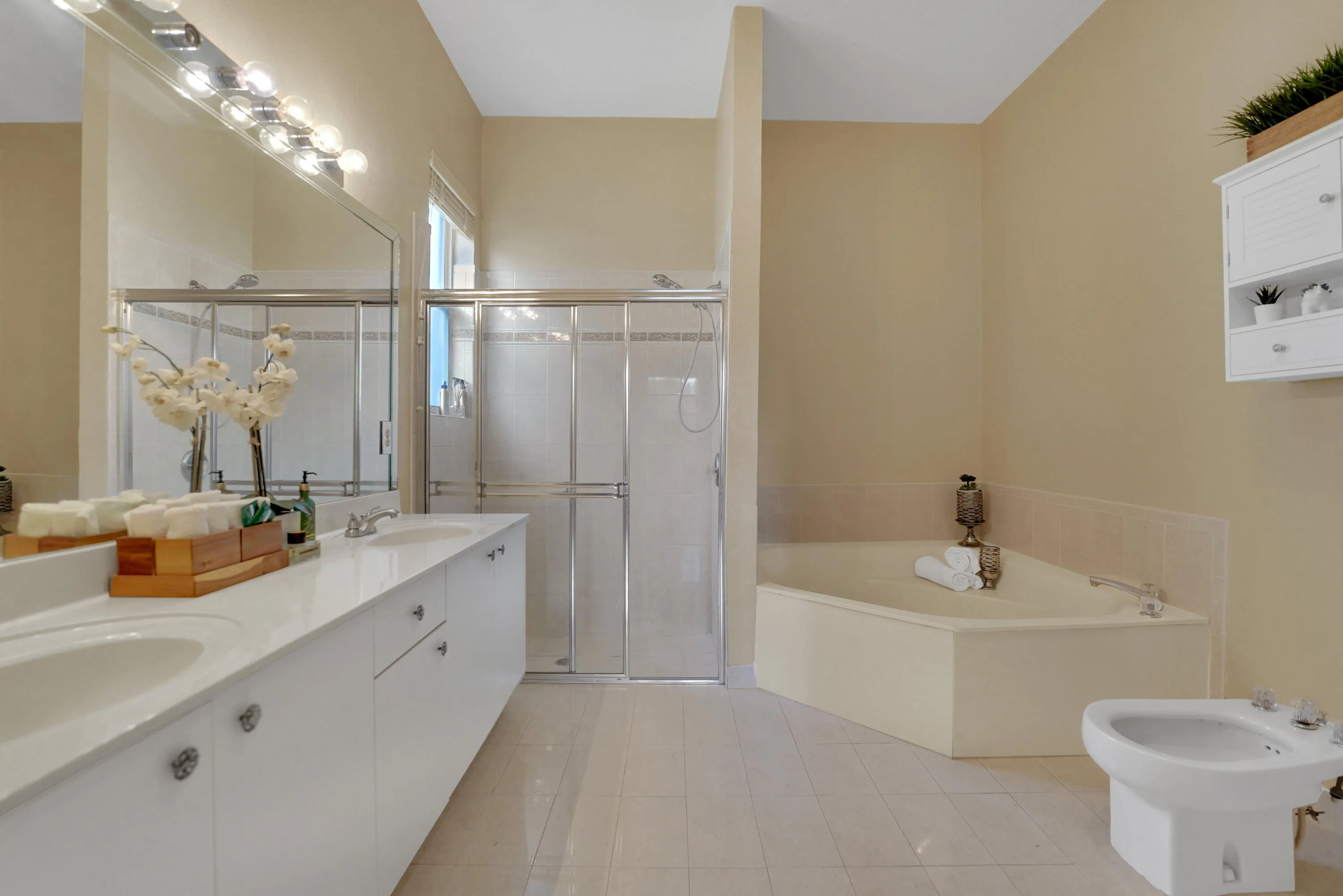 master bathroom with roman tub
