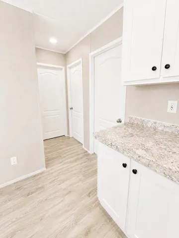 Bright Modern Hallway Kitchen Interior