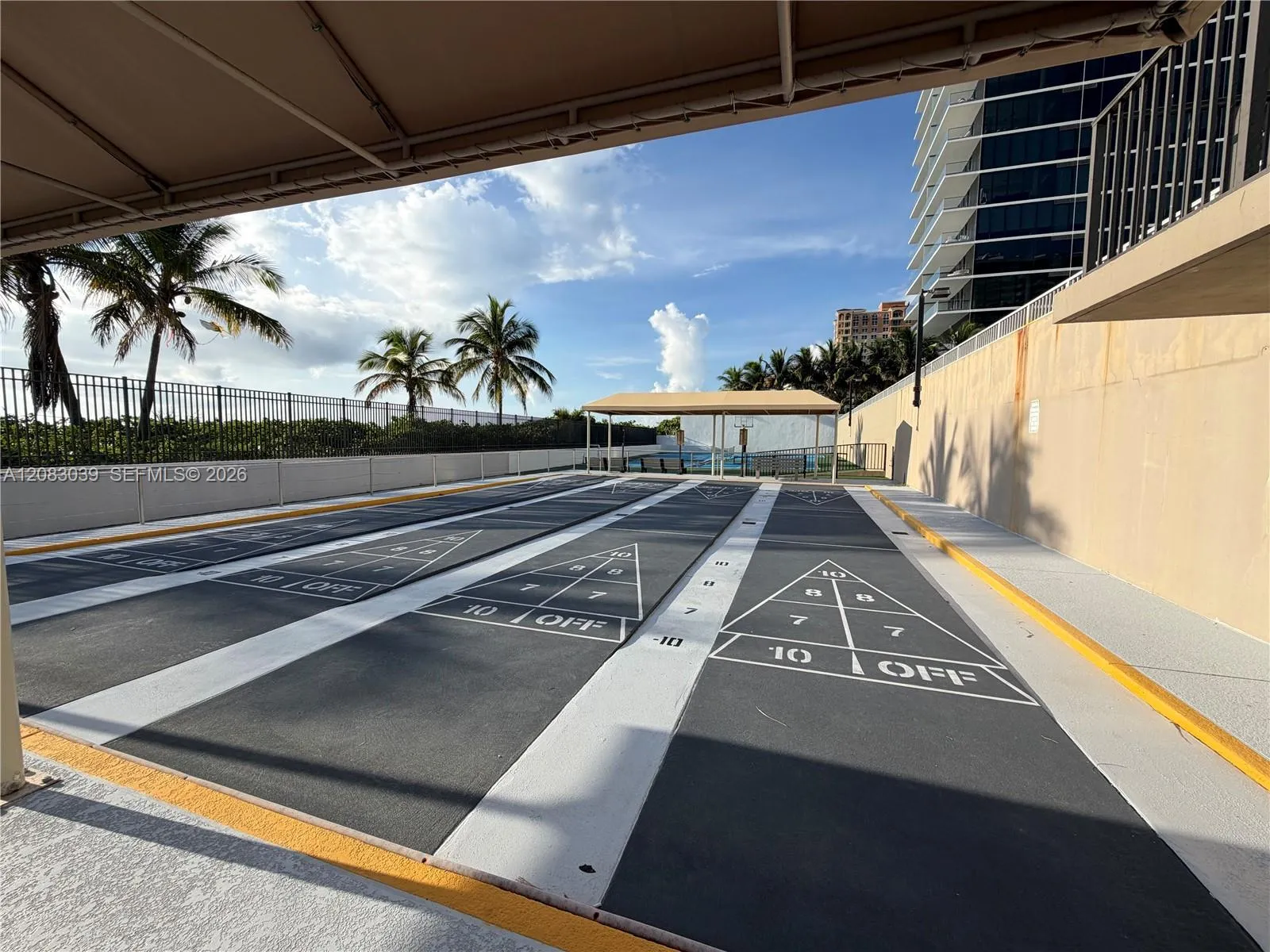 Shuffleboard
