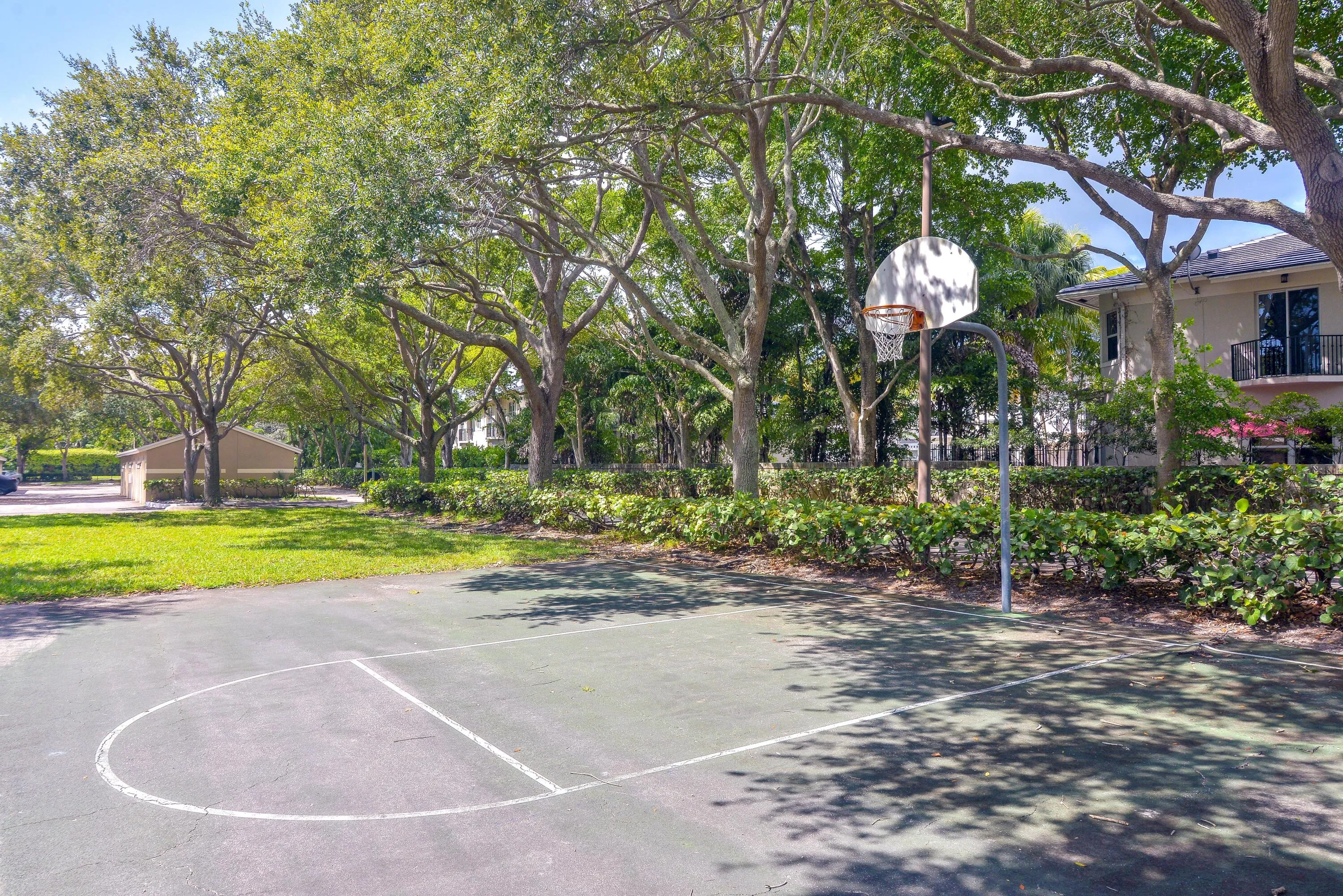 51-basketball court
