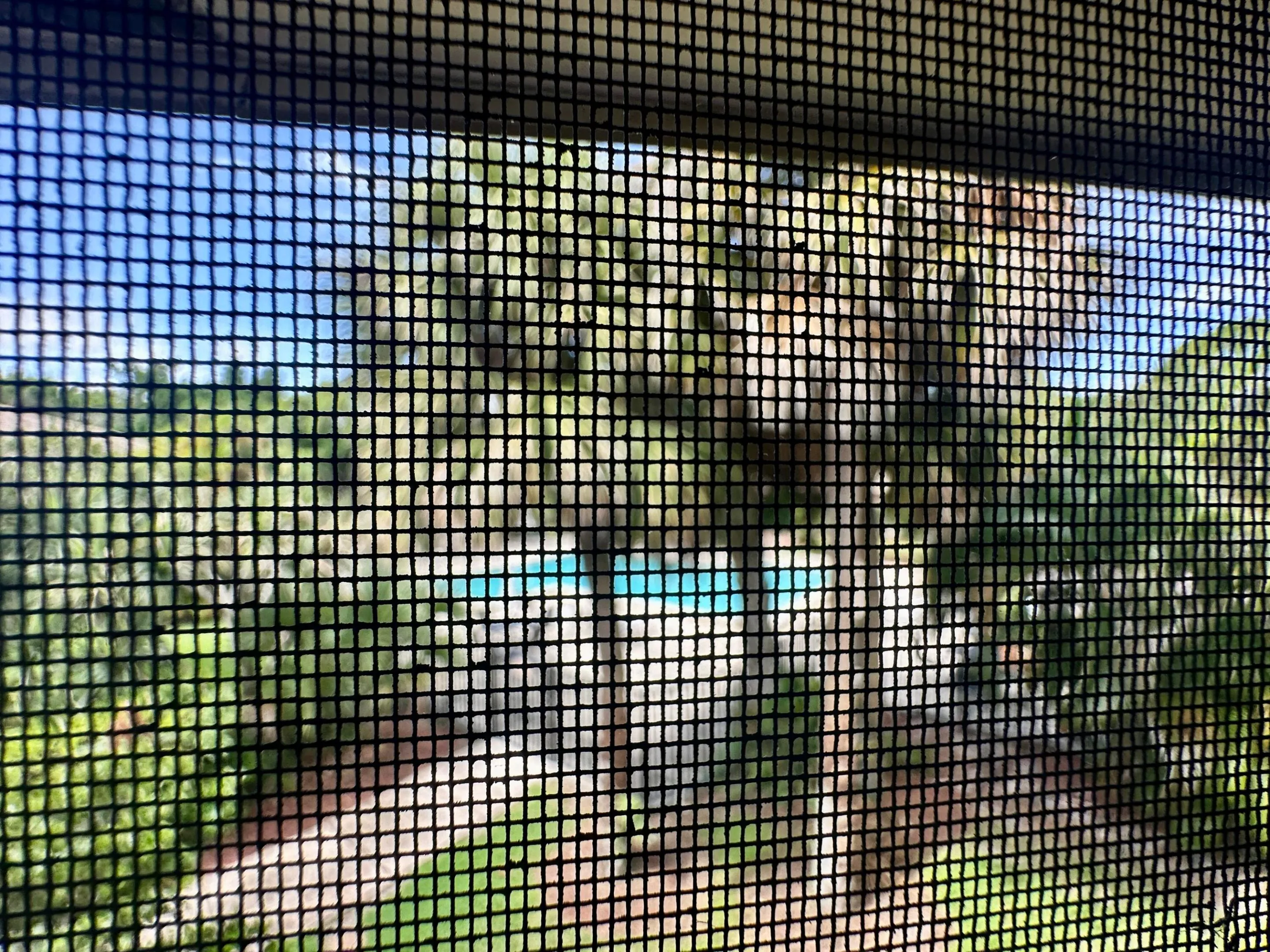 Balcony with very nice view of the pool.