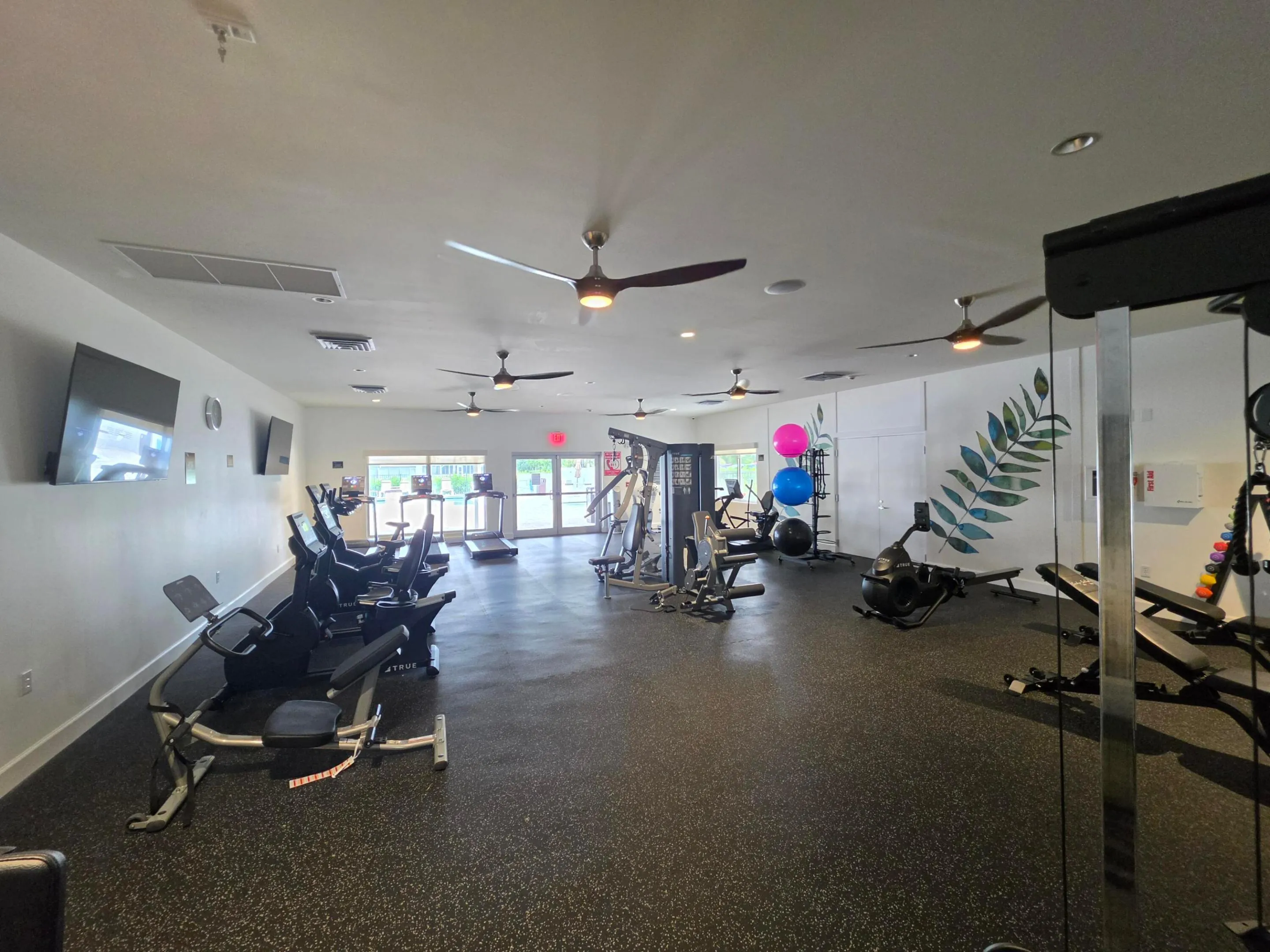 Features new True Professional Exercise Equipment