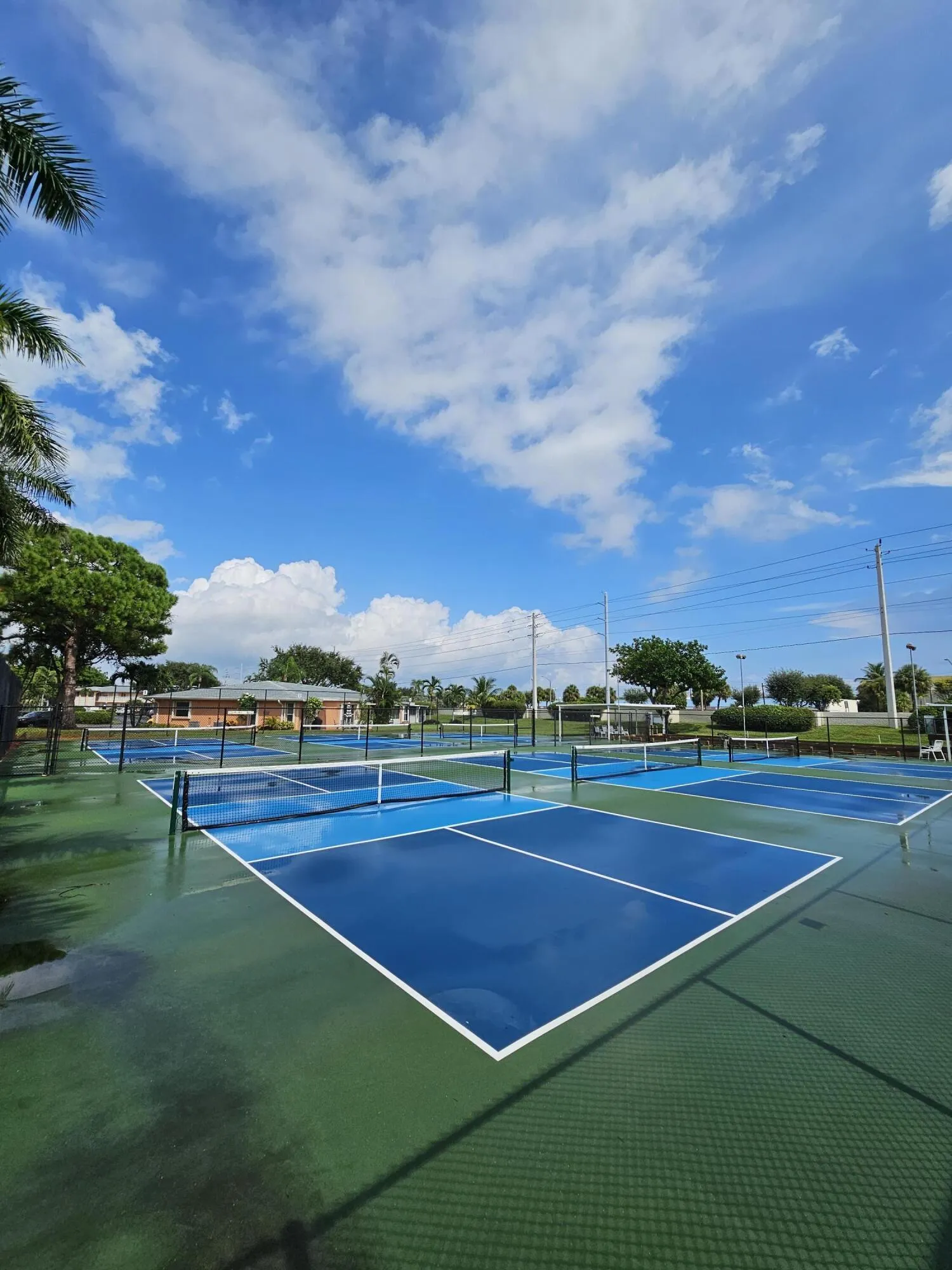 Newly painted Tennis and Pickleball Courts