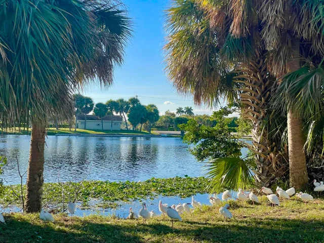 Lake Osborne