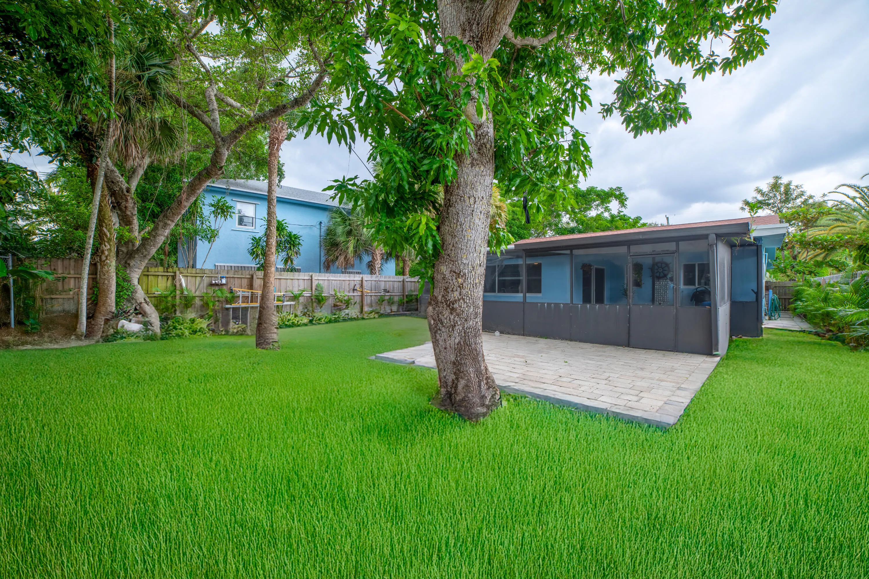 Backyard-Grass
