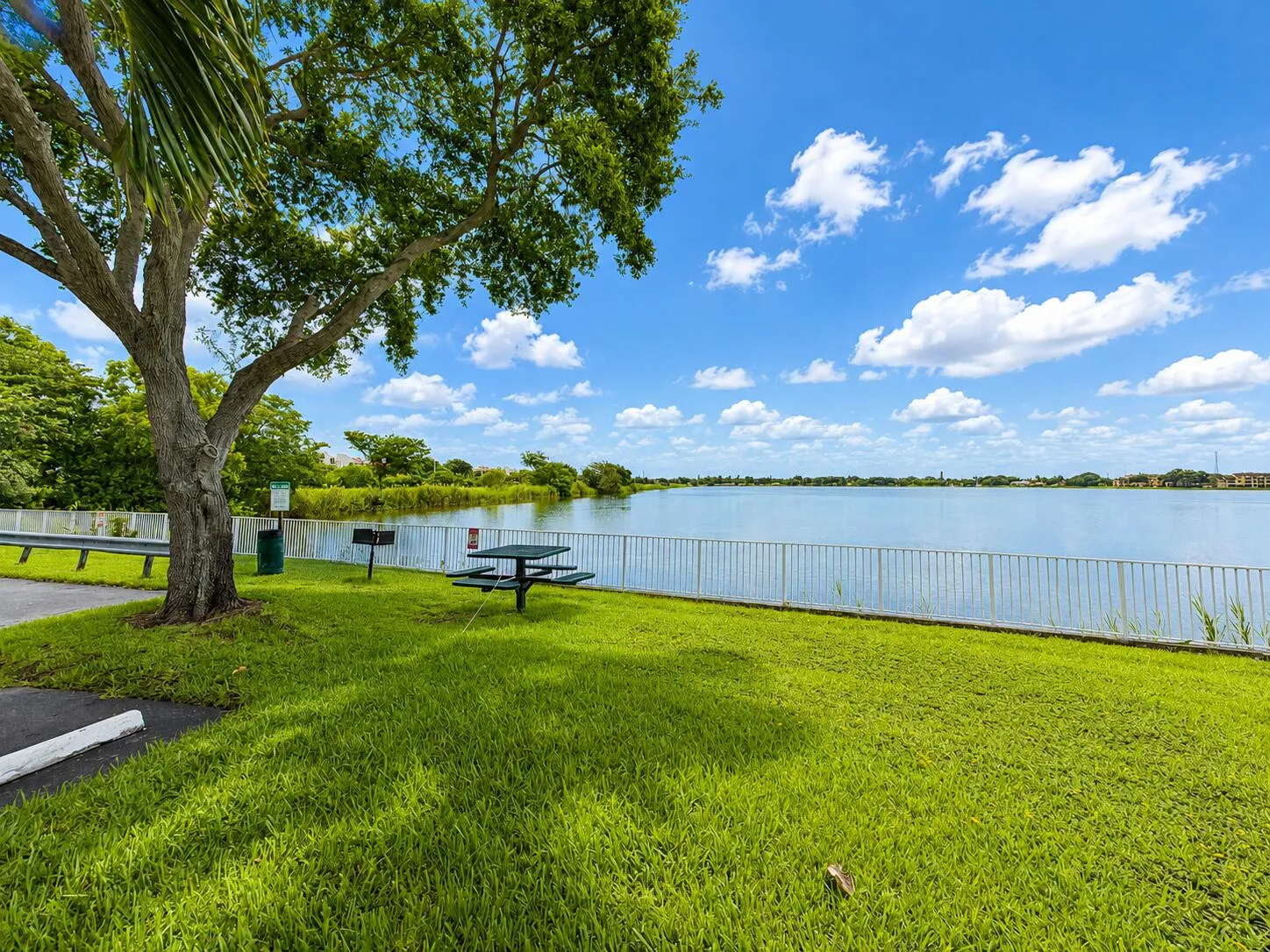 Lakeview - Bench