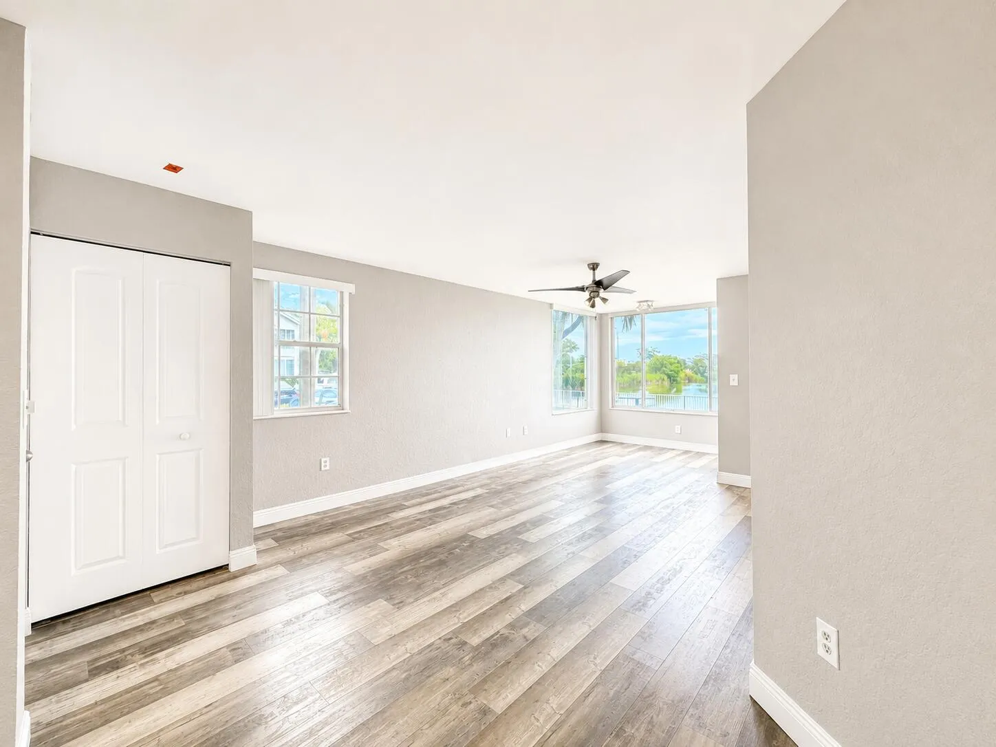 Living Room - Kitchen