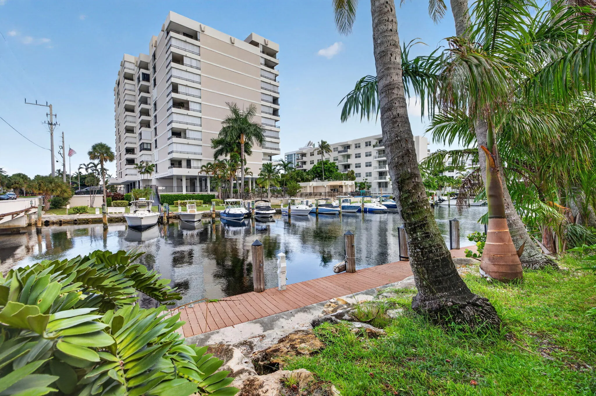 62-web-or-mls-699A9041