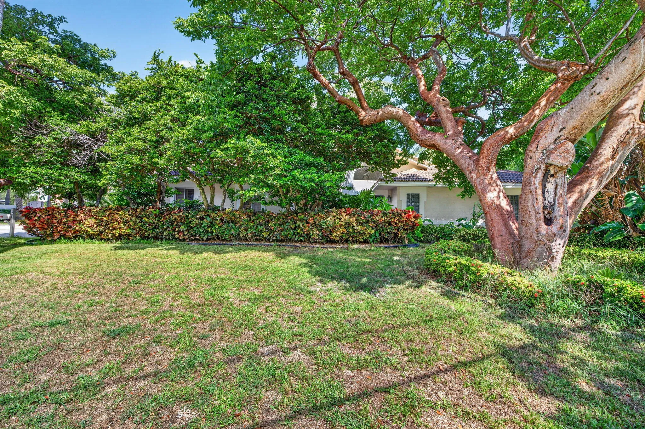 2-web-or-mls-699A8471