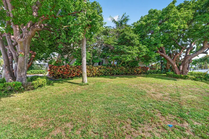 3-web-or-mls-699A8476