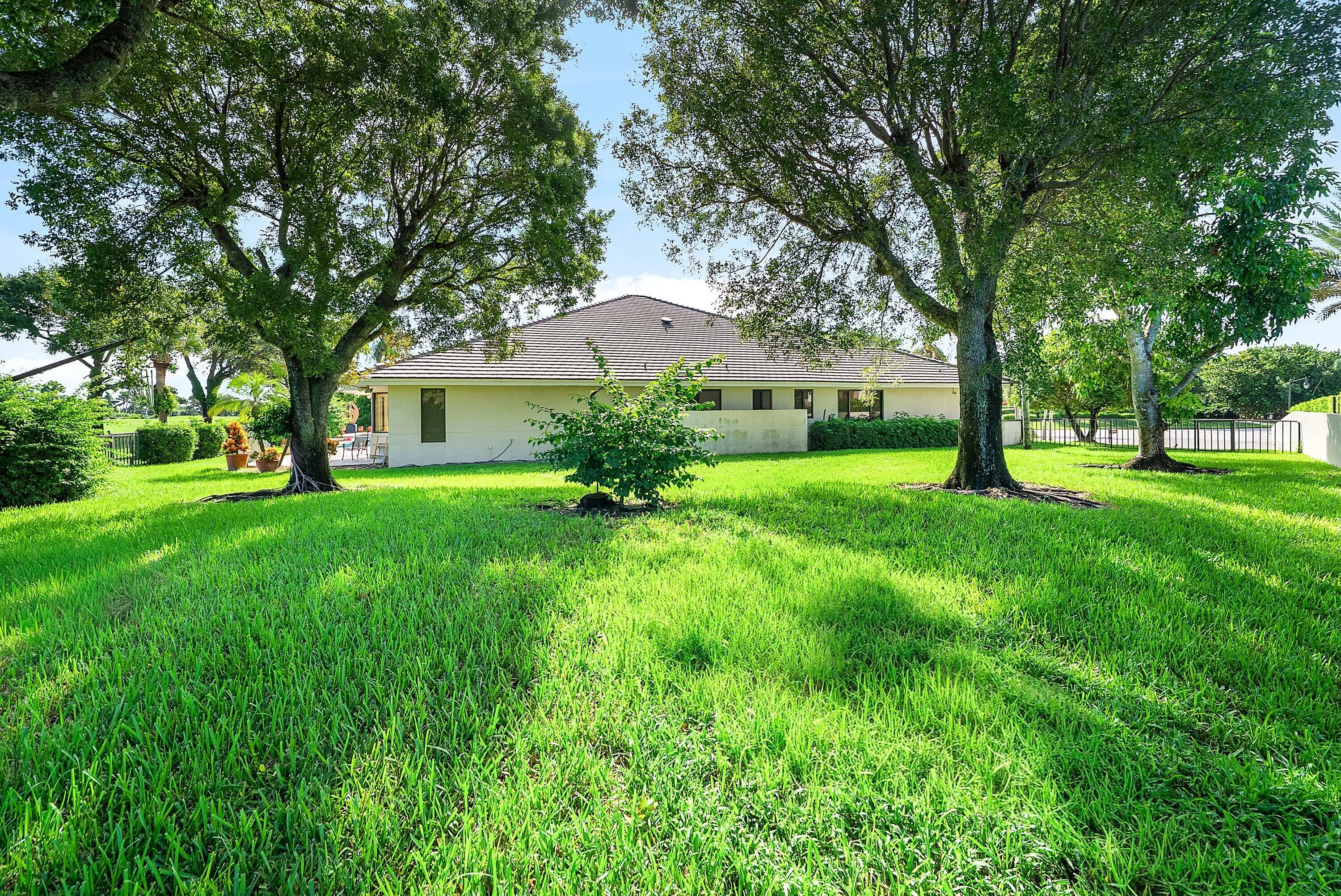 Grassy yard