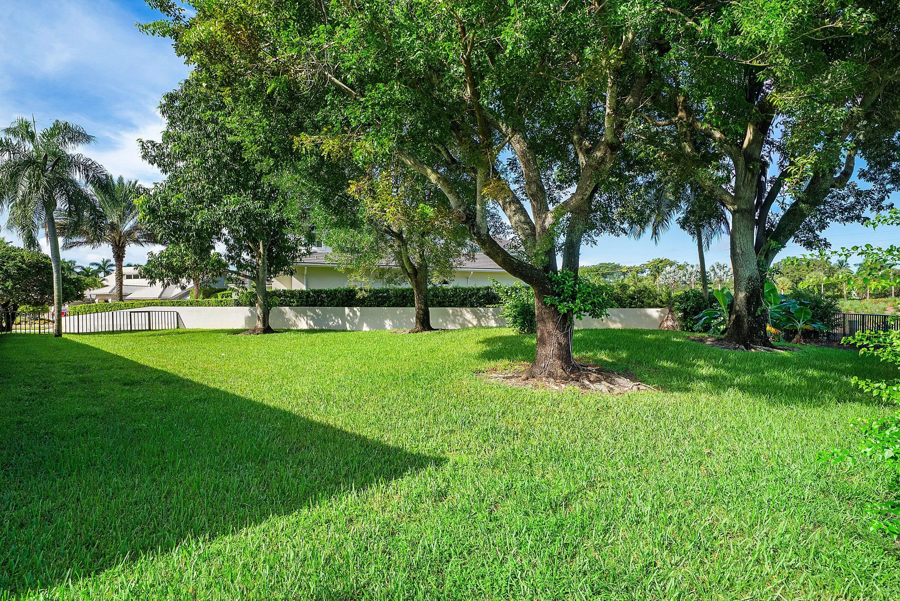 Large side​​‌​​​​‌​​‌‌​‌‌​​​‌‌​‌​‌​‌​​​‌​​ yard