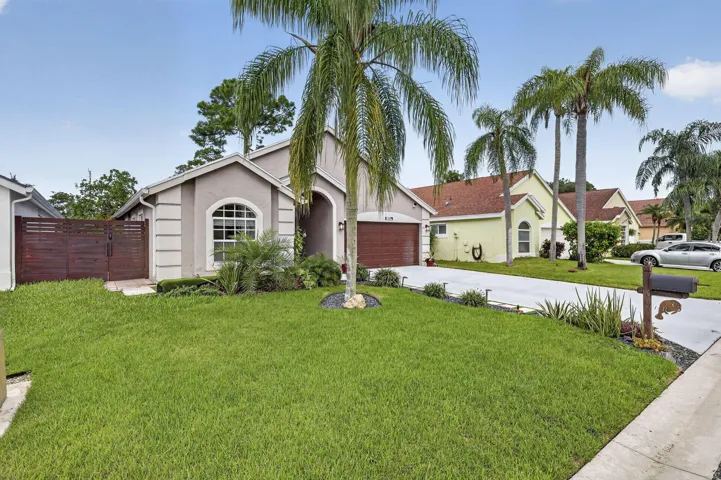 3-web-or-mls-BS1A0836