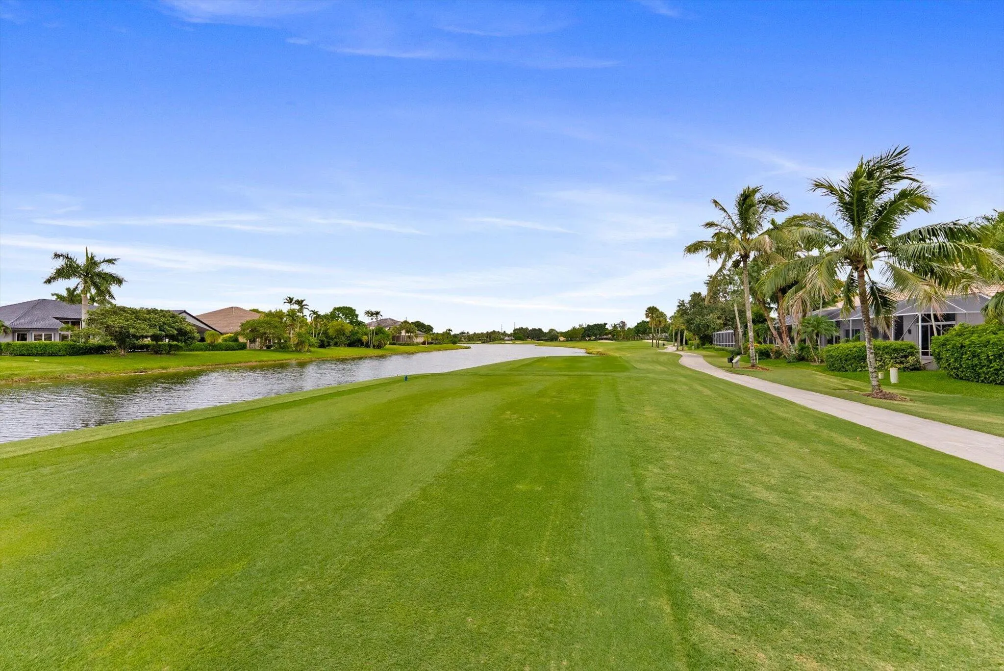 tee box backyard