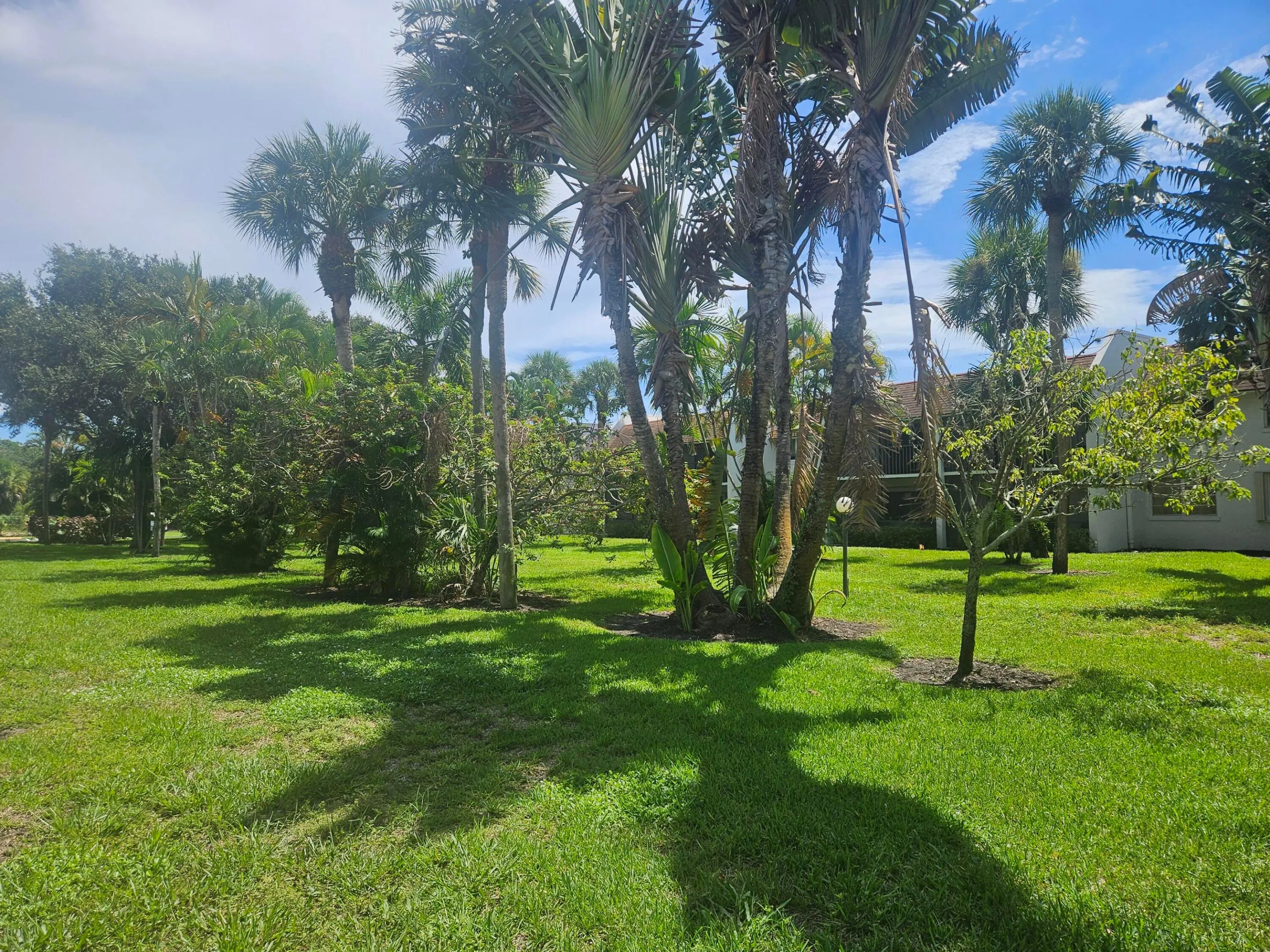 COURTYARD BEHIND CONDO