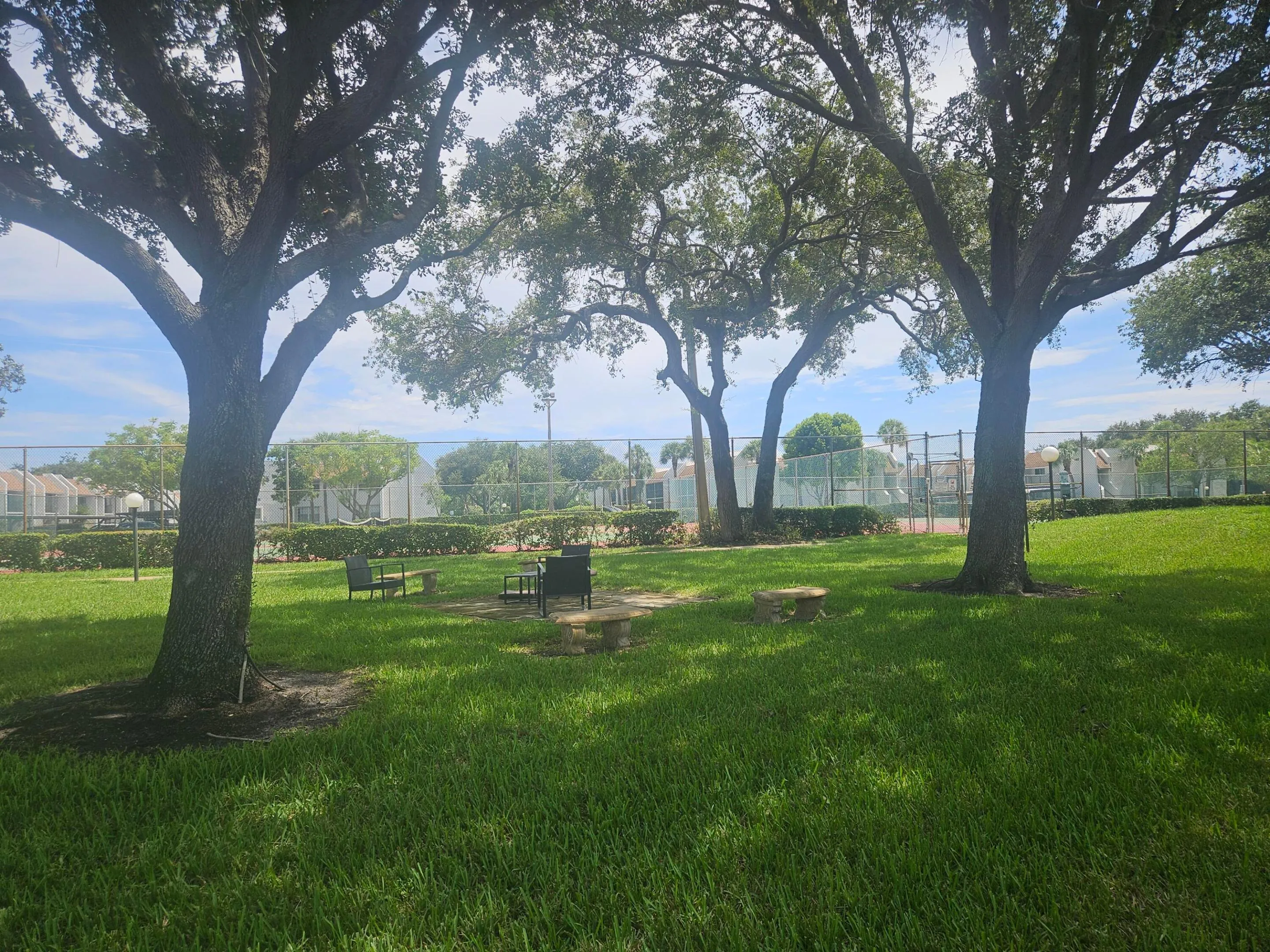 2935 Photo - Picnic