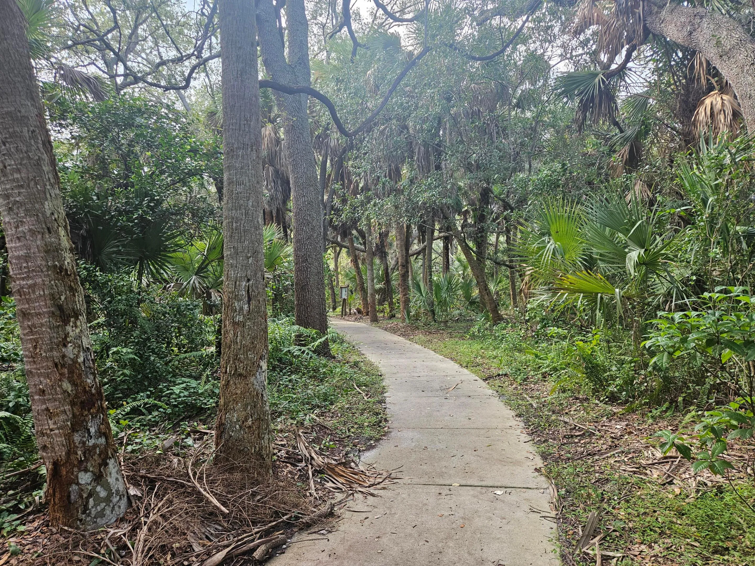 DELRAY OAKS NATURAL AREA TRAILS