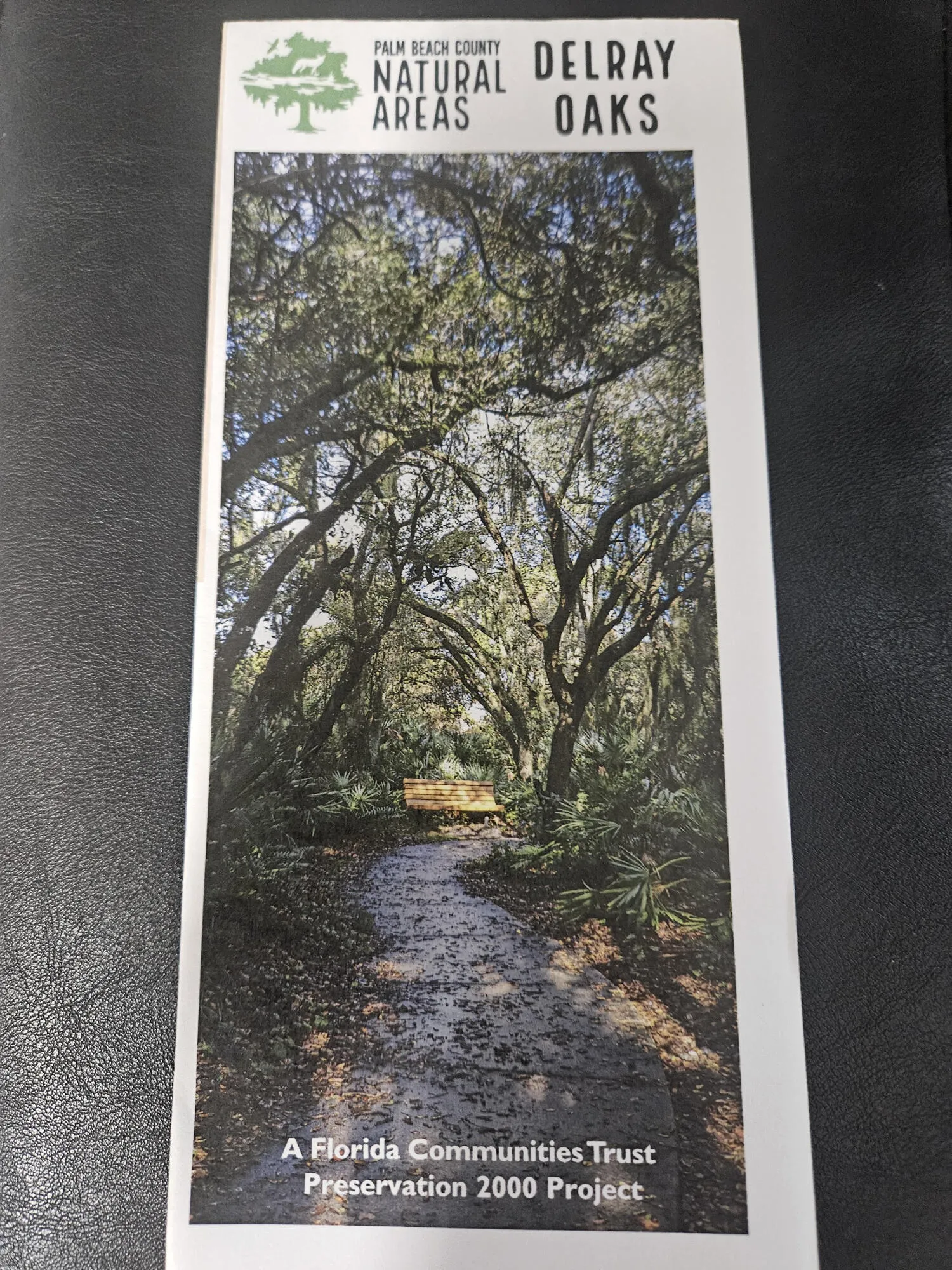 Delray Oaks Pamphlet