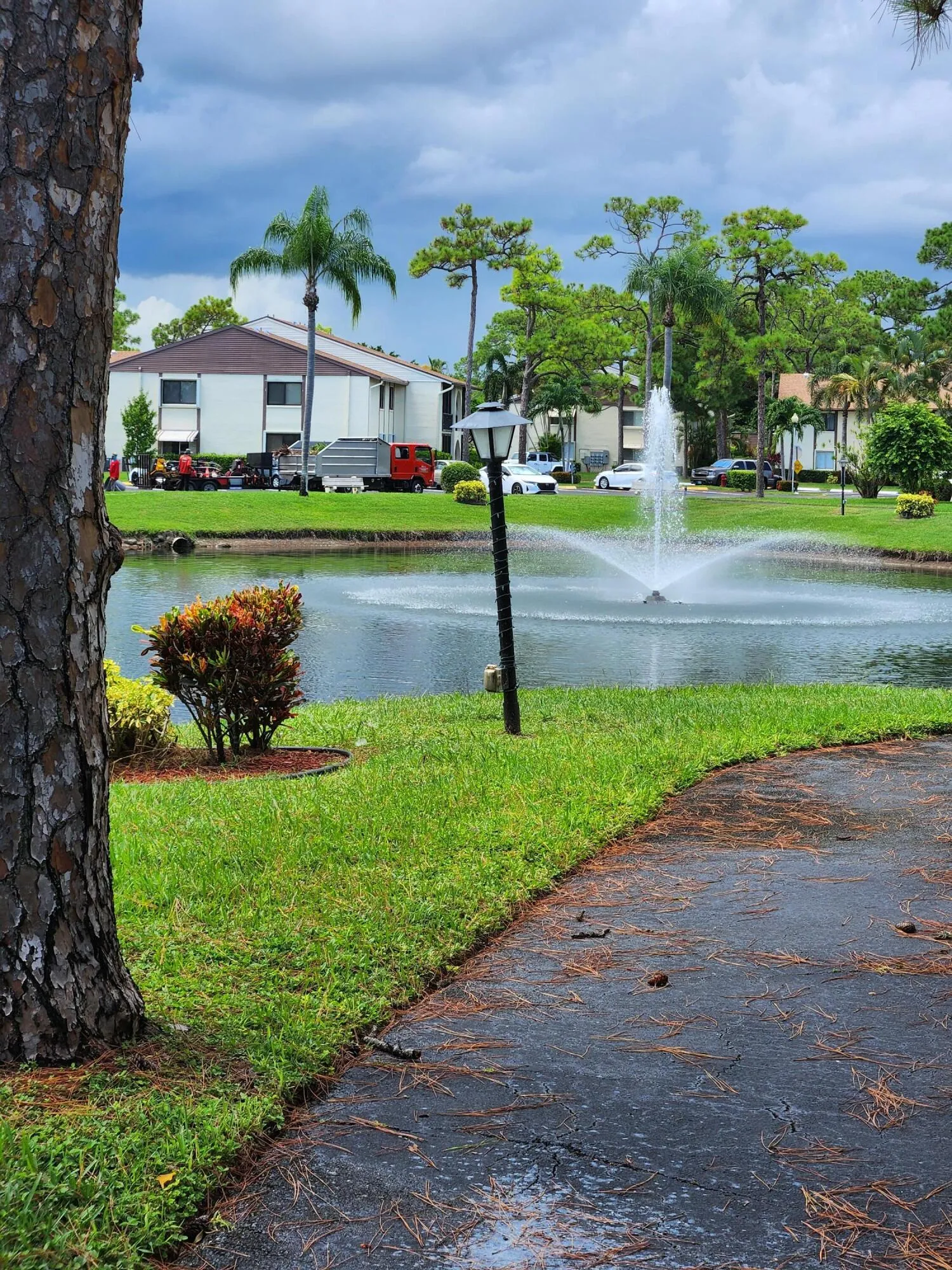 walk behind view