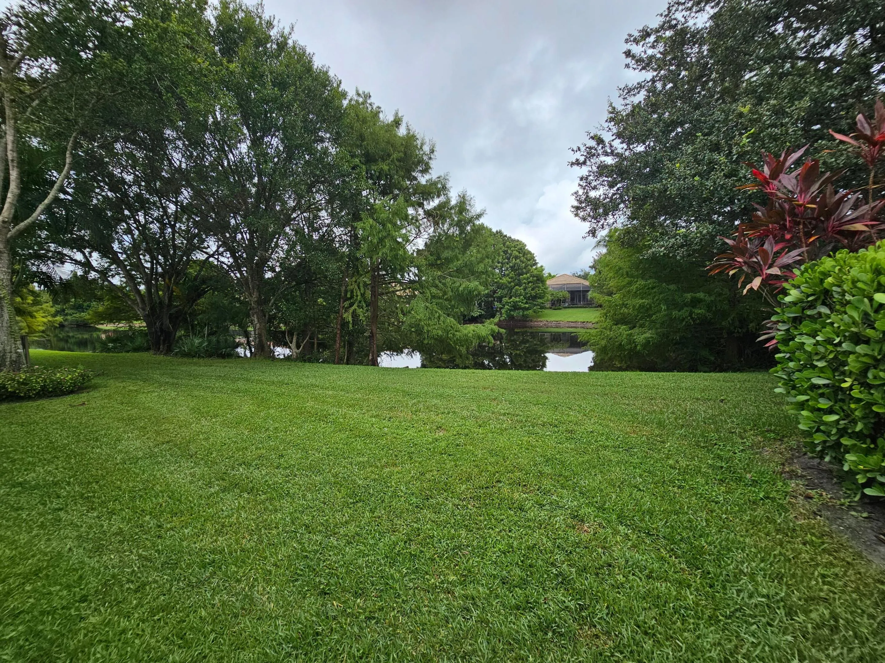 LAKEVIEW BACKYARD