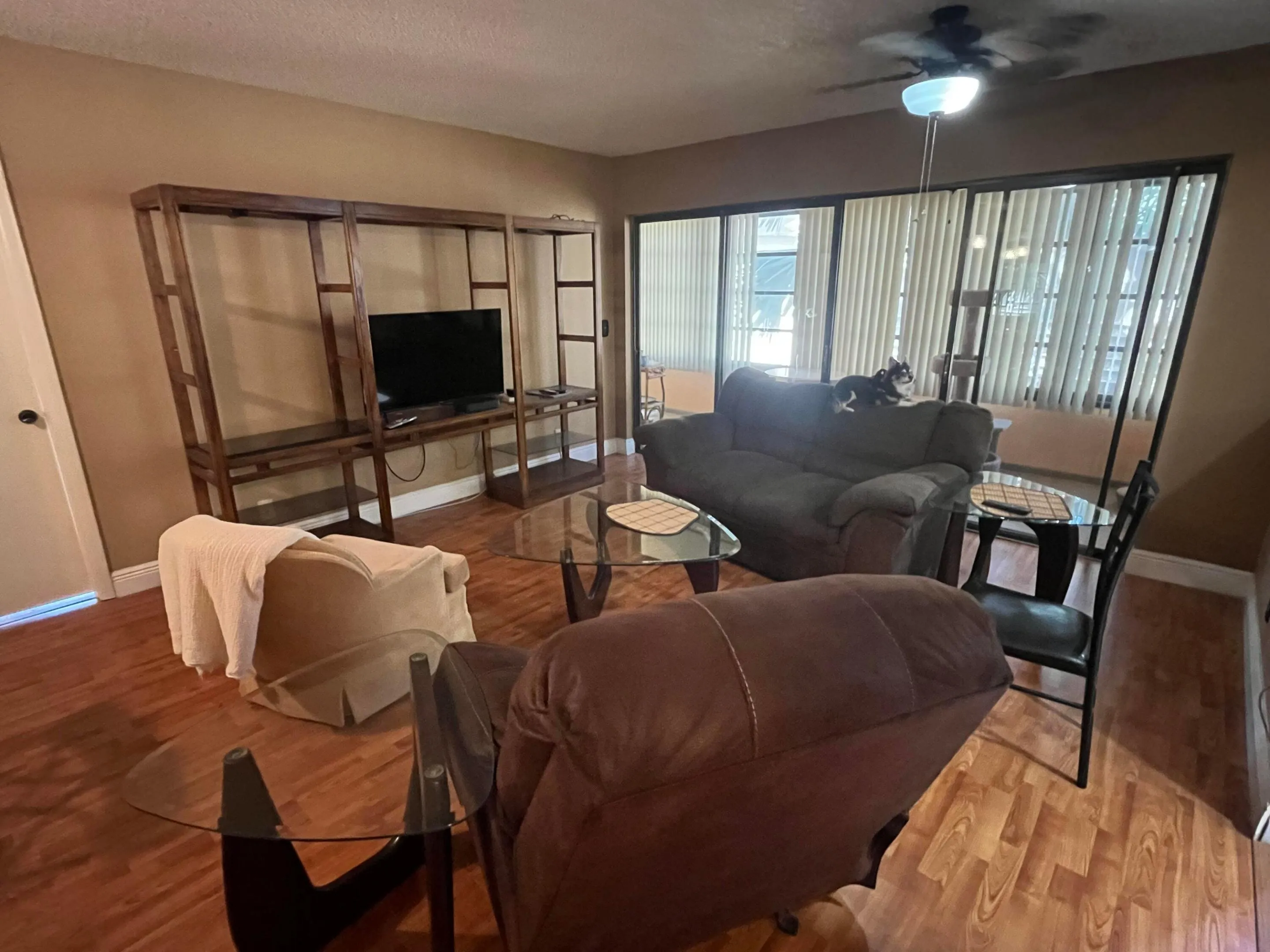Living room area
