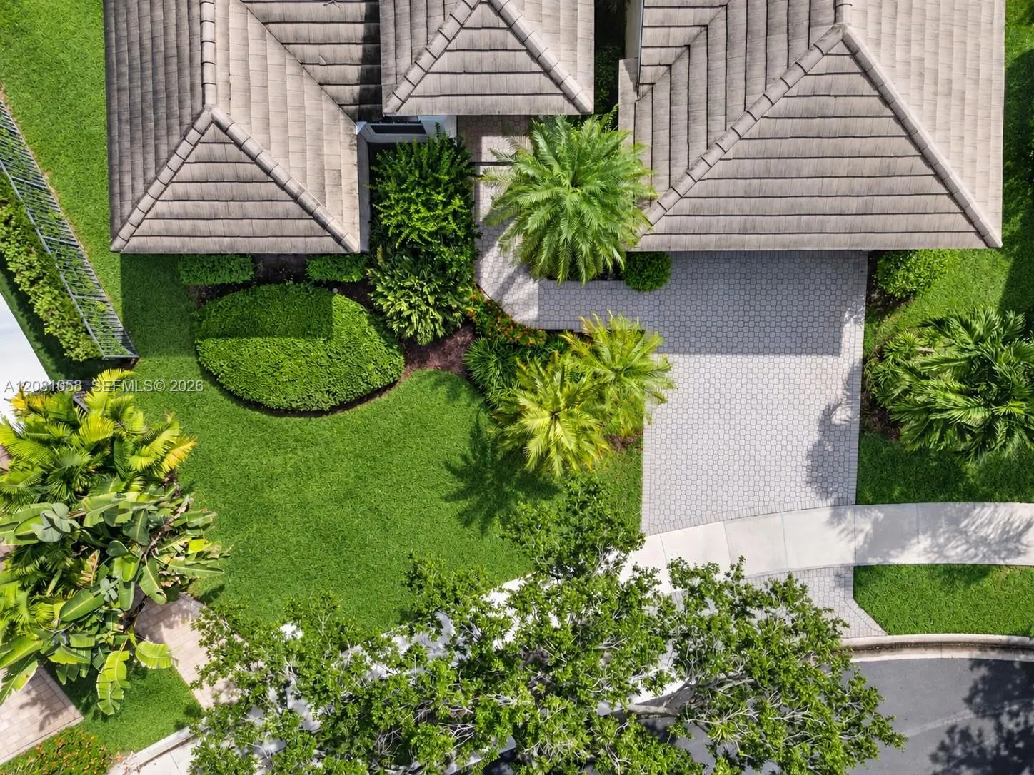 Front Yard