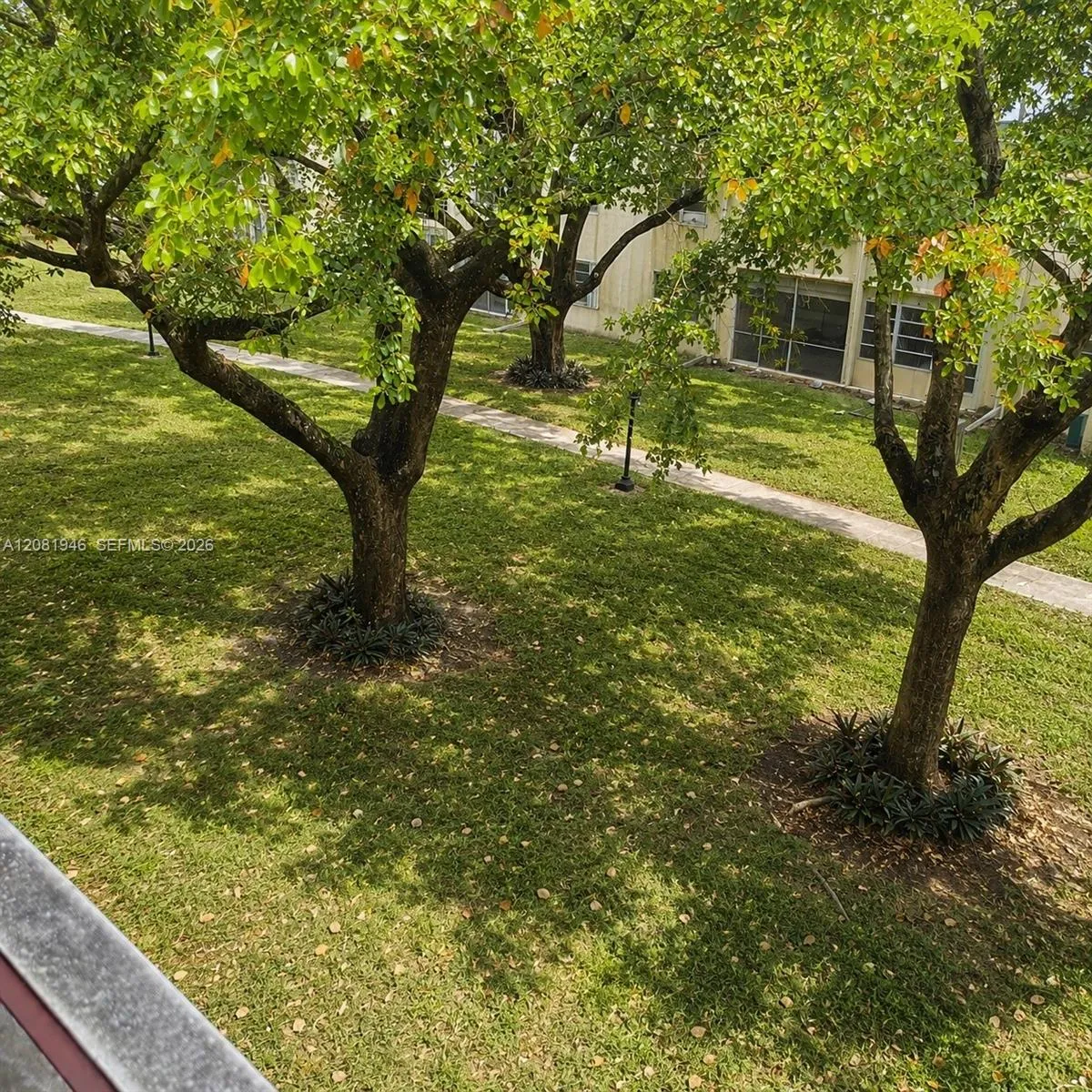 View from Balcony