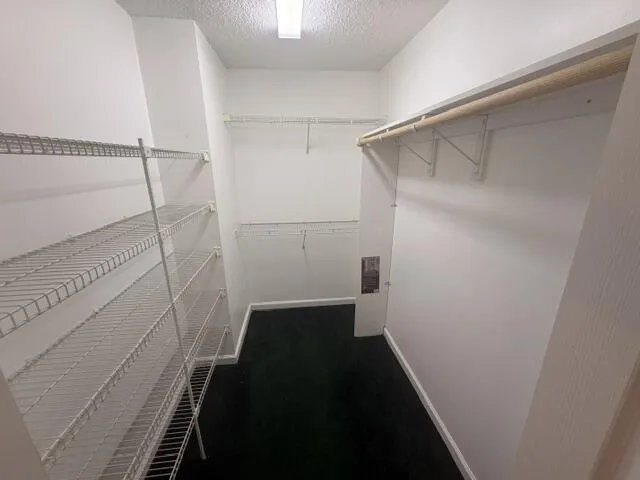 IMG_6243