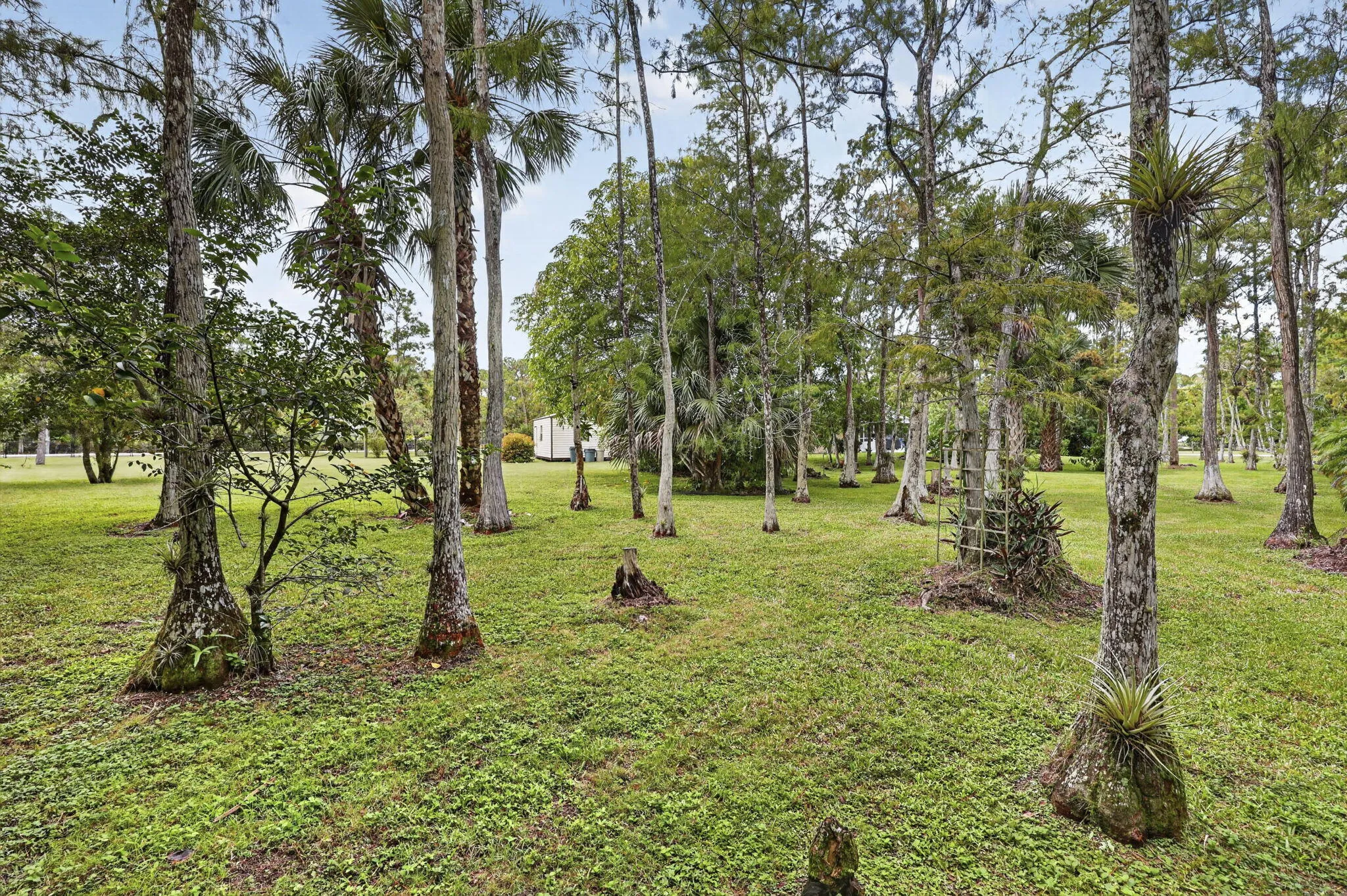 Yard
