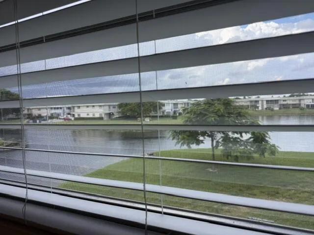 View from Dining Room