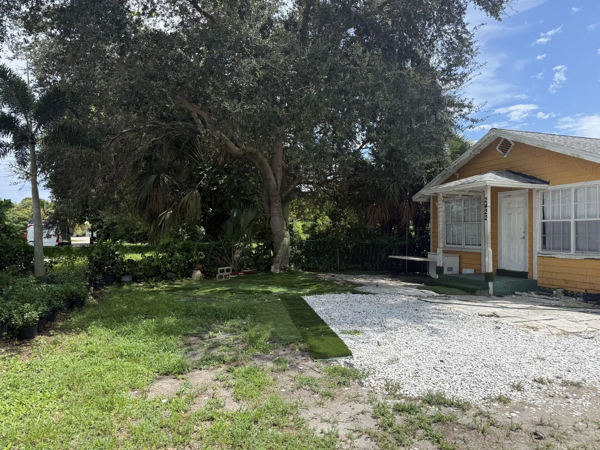 Front yard