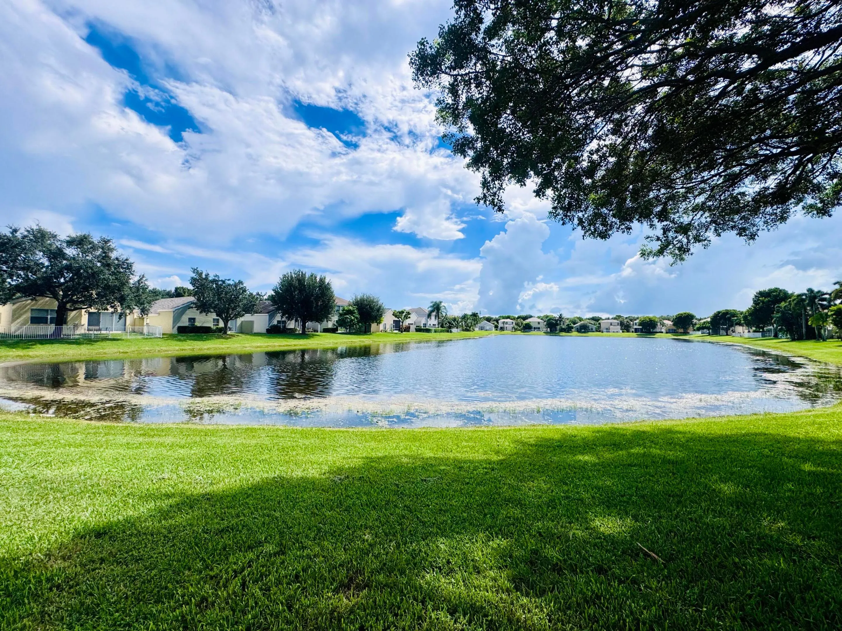 Lake front view