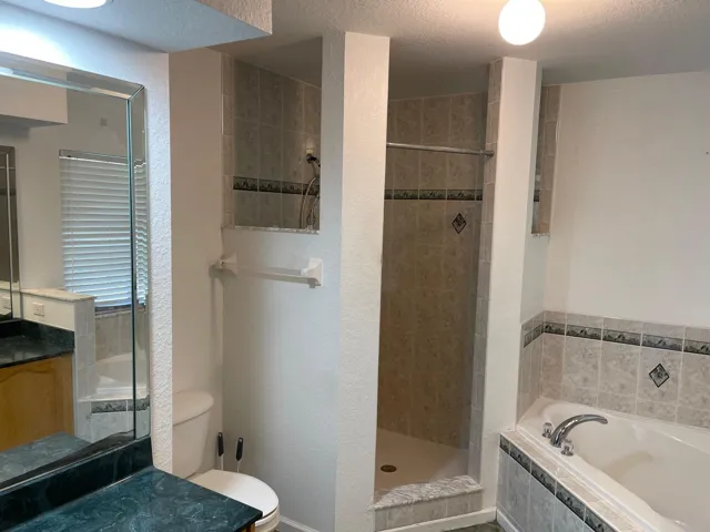 Master Bathroom copy
