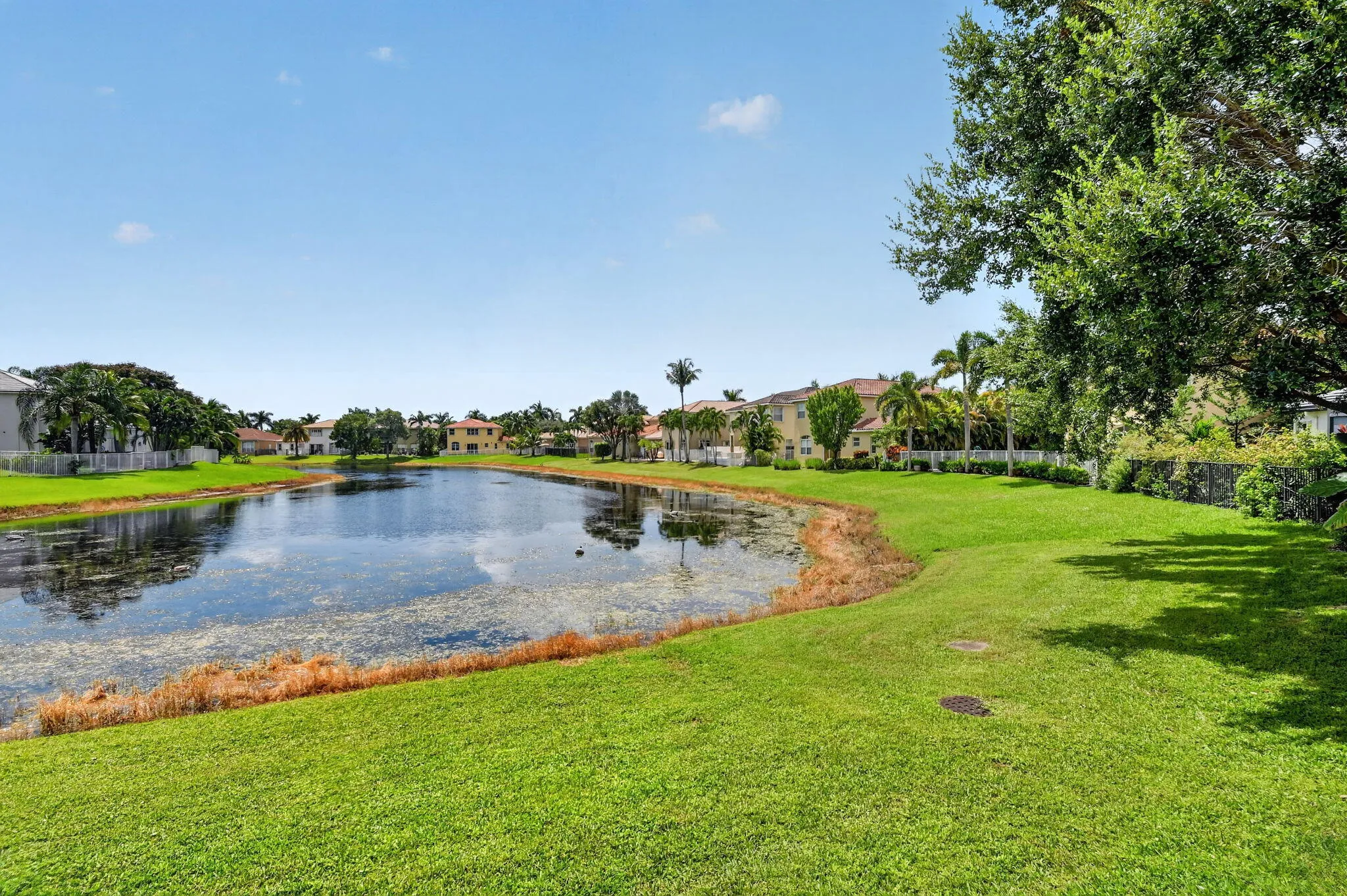 Lake View