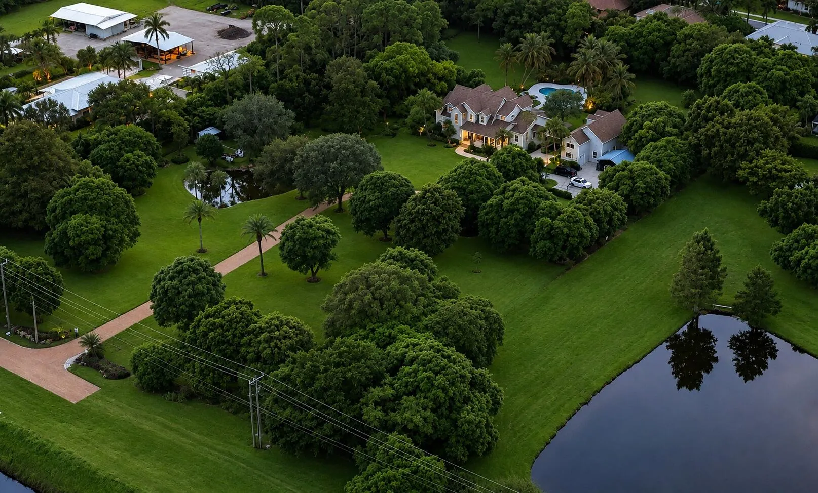 Aerial 20