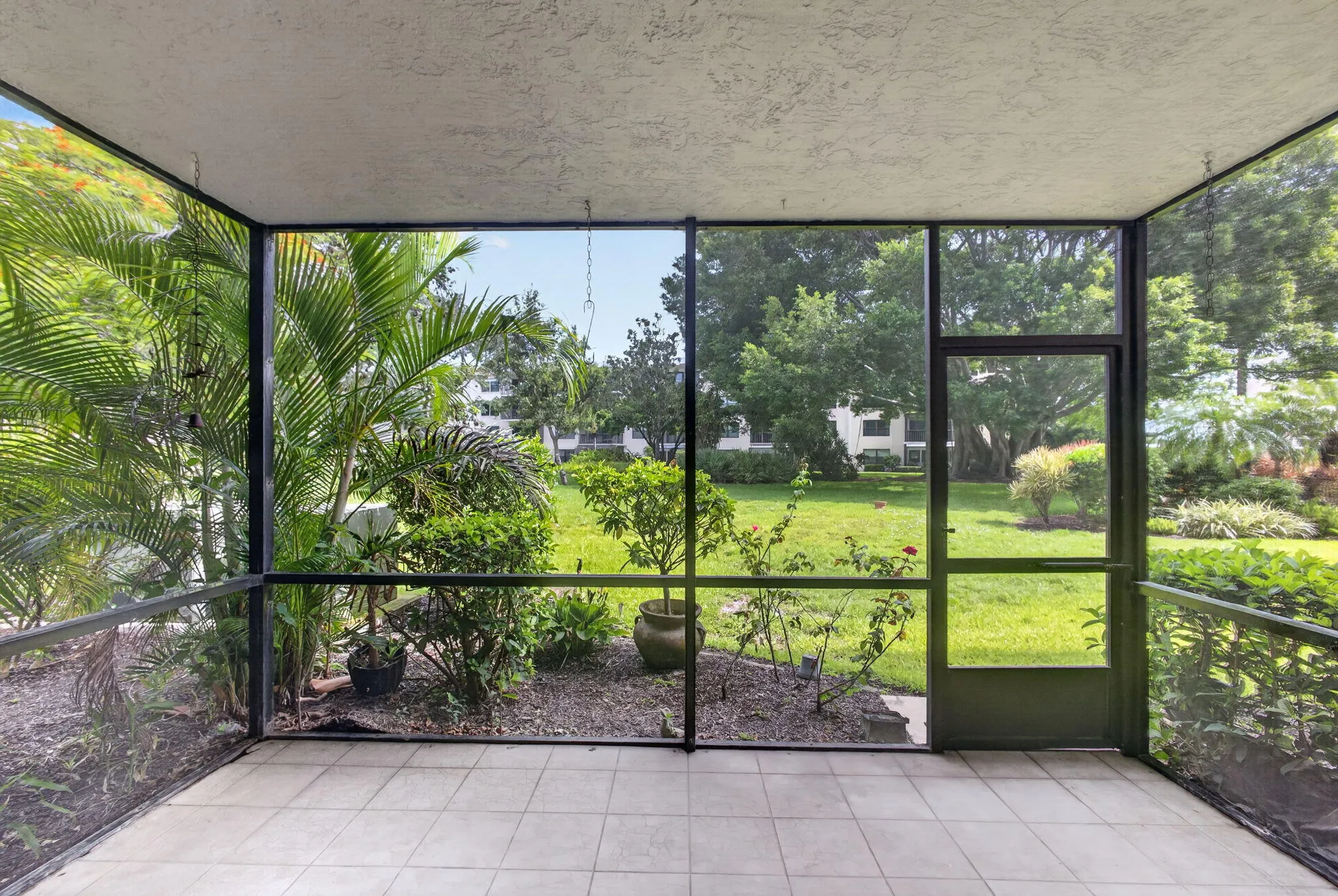 45-web-or-mls-5D1A9617