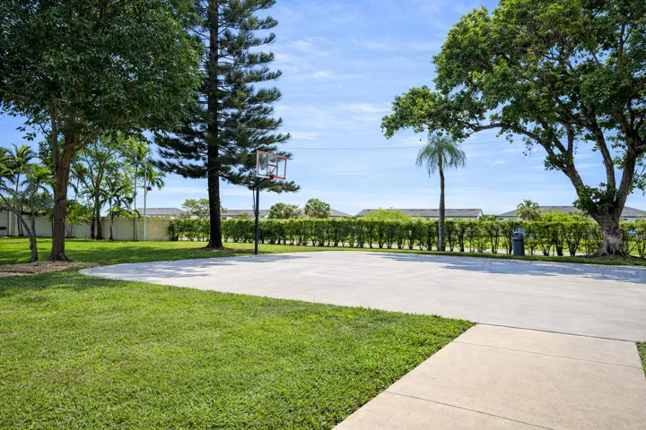 Basketball Court