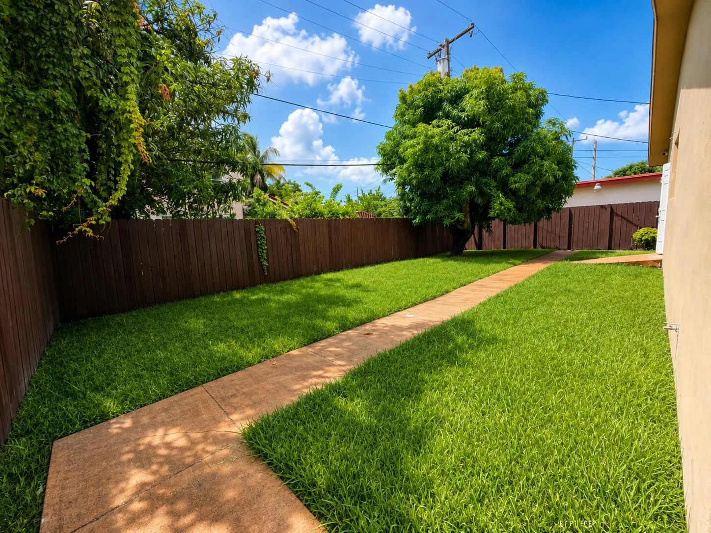 Backyard