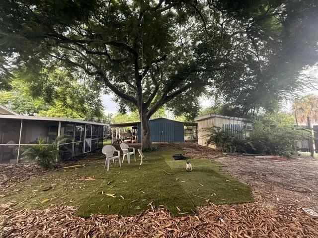 backyard shot 520