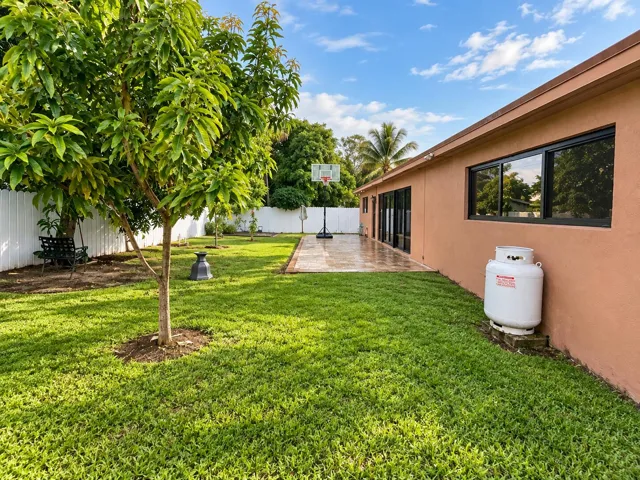Back yard