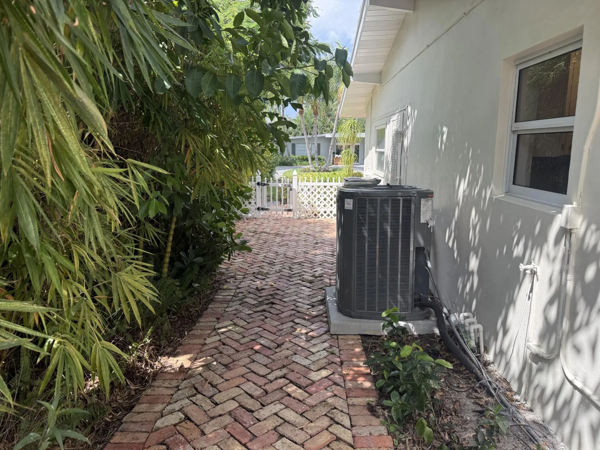 Side of home pathway