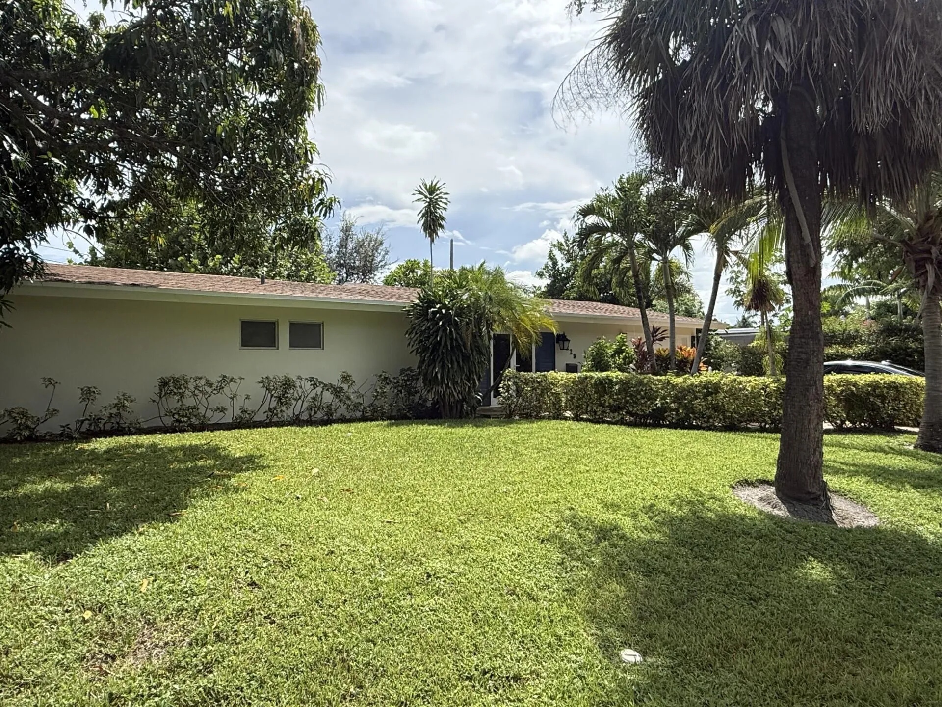 Front yard