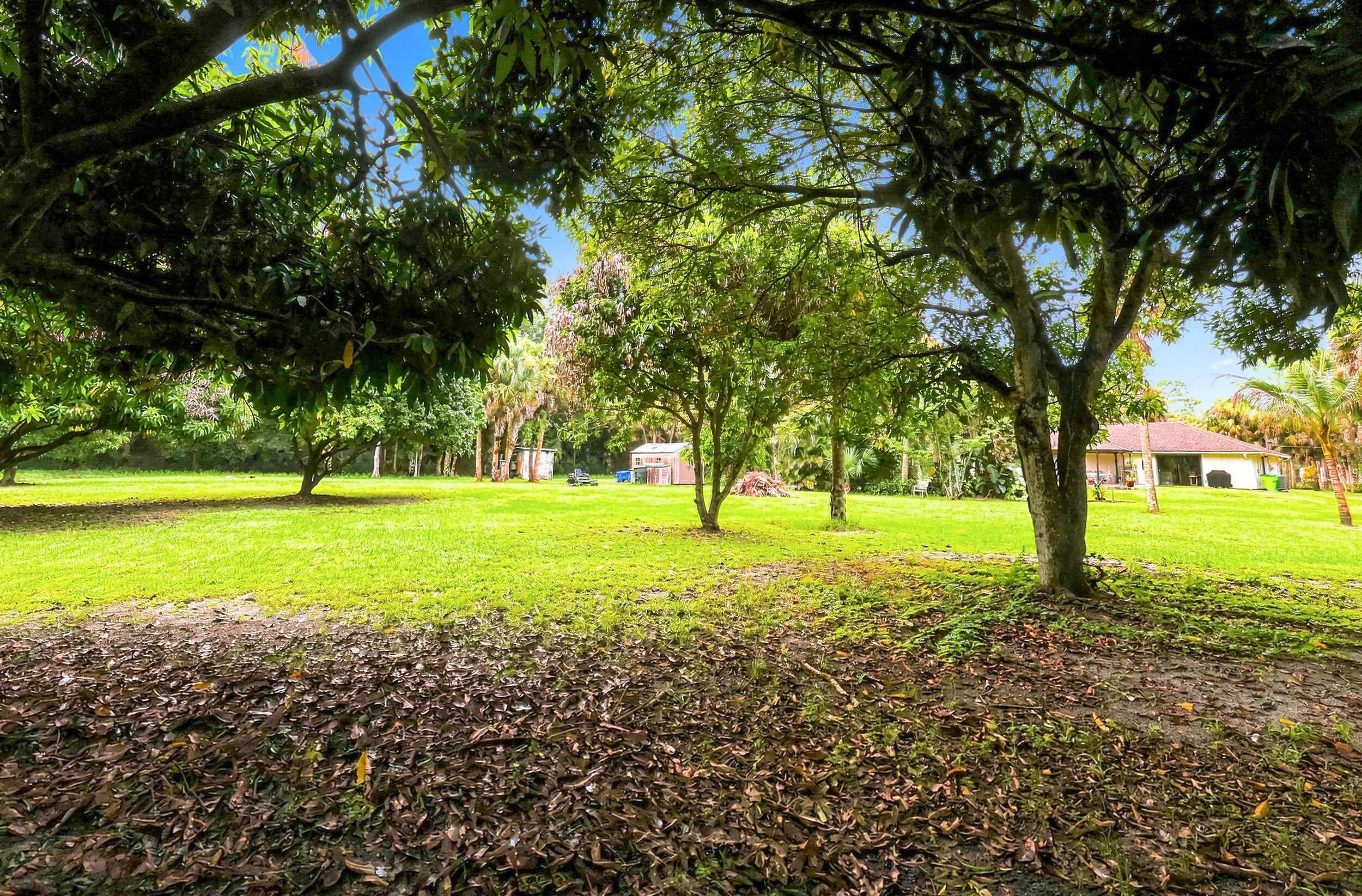 Peaceful outdoor setting with mature trees, open green space, and plenty of room to enjoy the property.