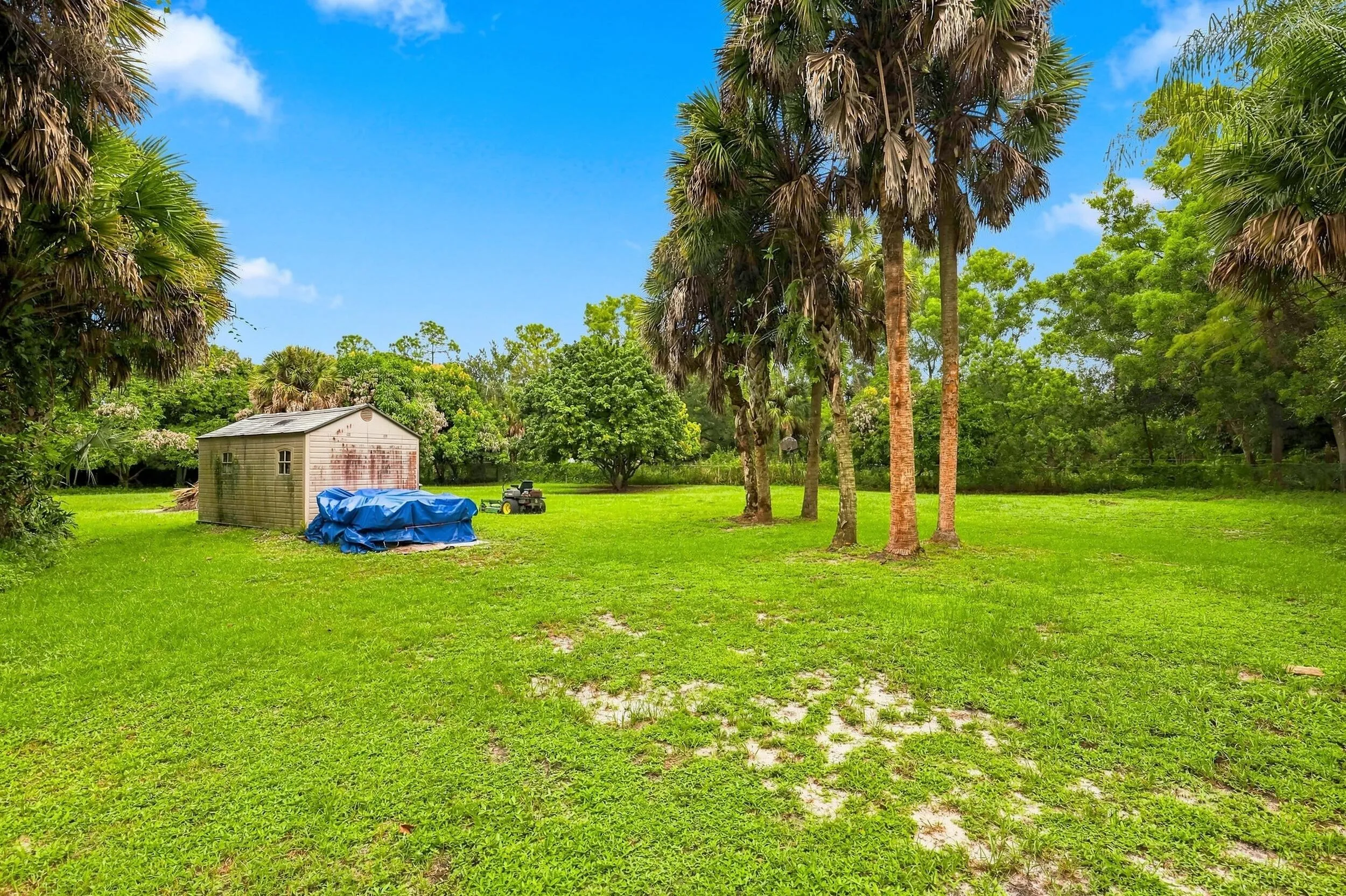 Wide view highlighting the expansive property, mature palm trees, open green space, and additional outdoor storage.