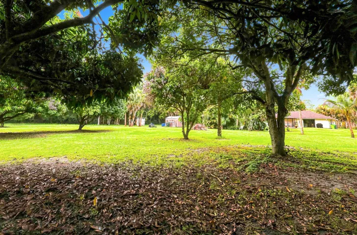 Peaceful outdoor setting with mature trees, open green space, and plenty of room to enjoy the property.
