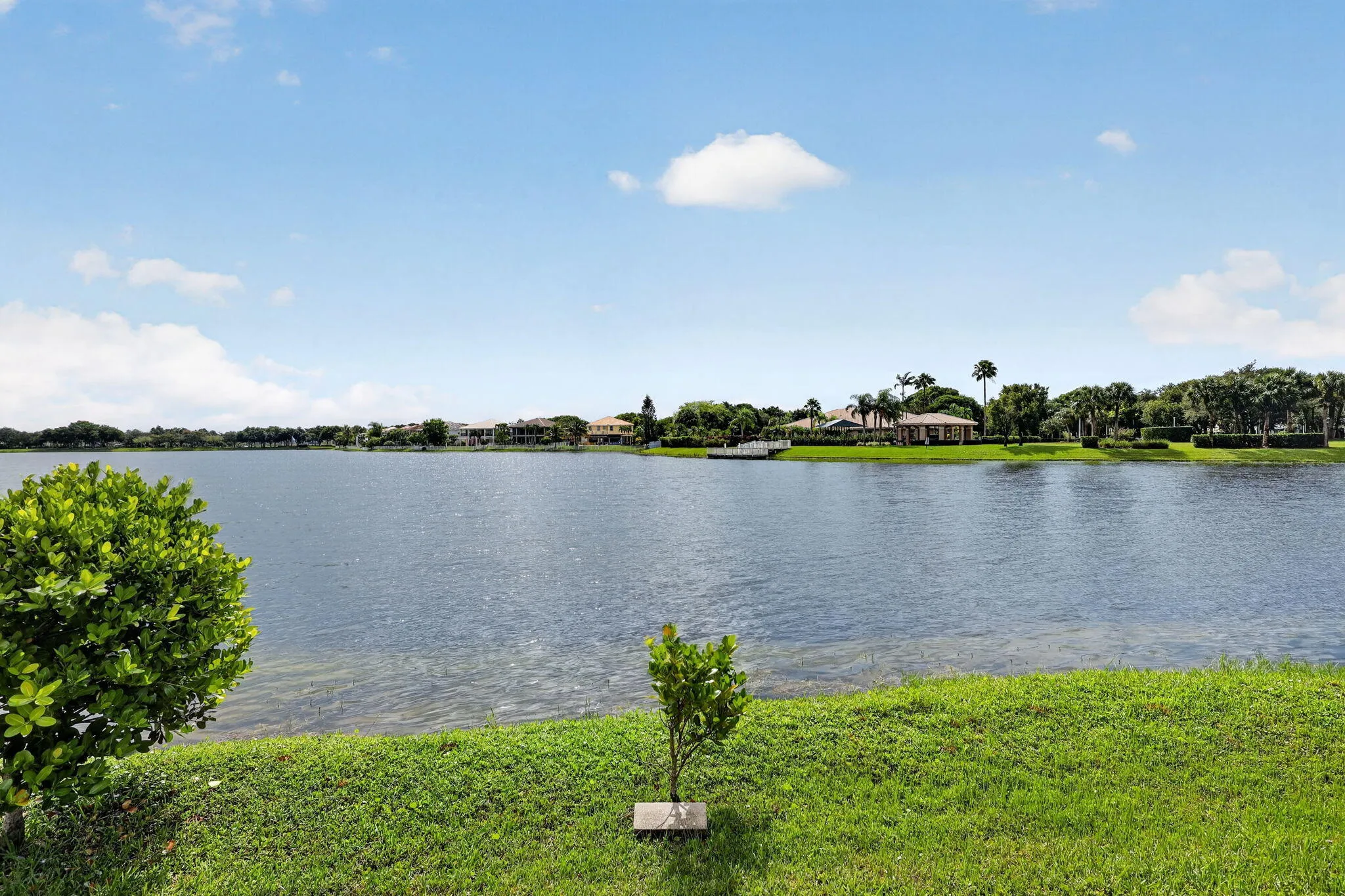 45-web-or-mls-8H3A1302