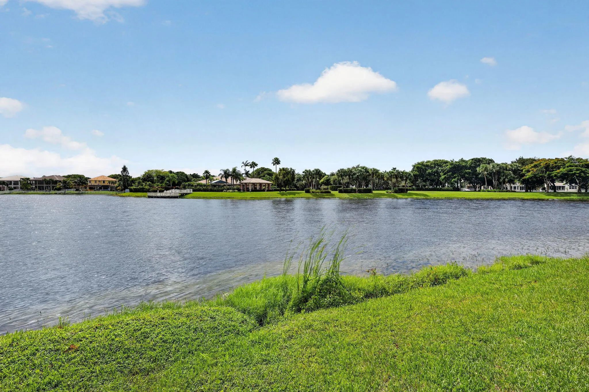46-web-or-mls-8H3A1306