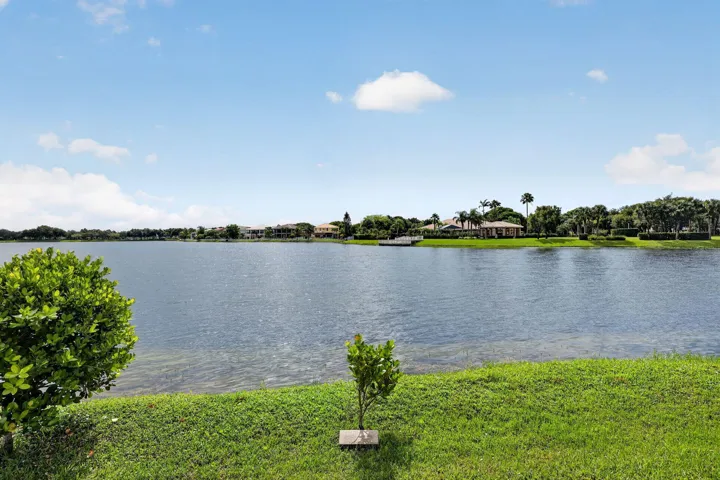 45-web-or-mls-8H3A1302