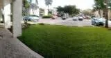 View from the front door to the parking area.