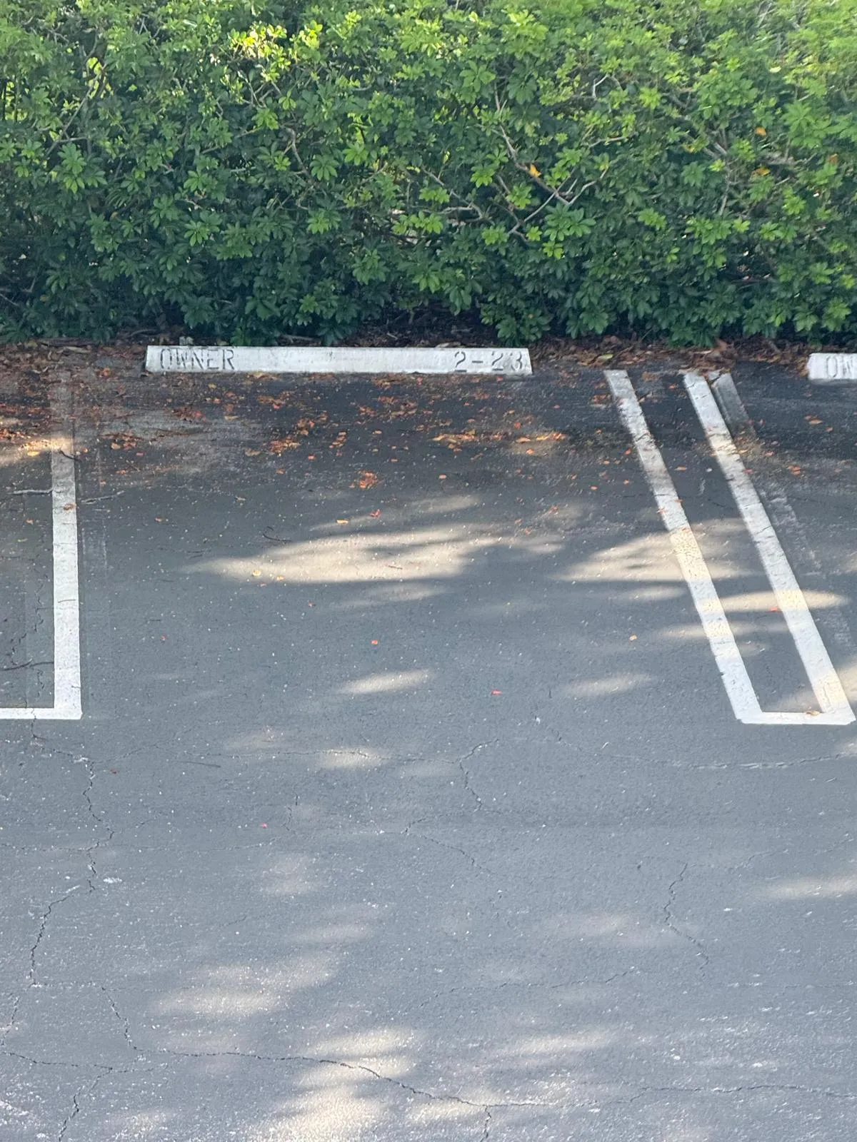 parking spot 2-23
